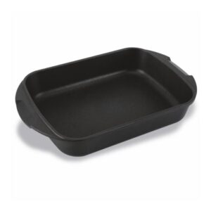 Pujadas Roasting Iron Aluminium 19.5 31
