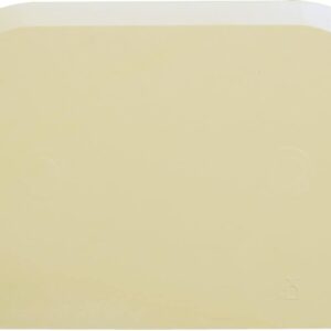 Schneider Dough Scraper