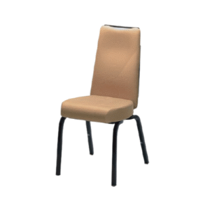 Conference Chair