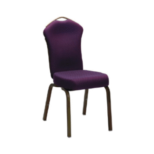 Conference Chair